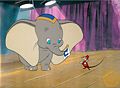 Dumbo mit Thimothy.jpg