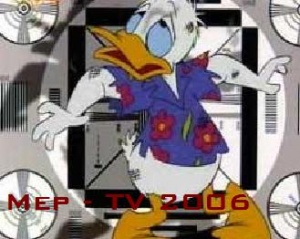 Quack Pack Donald TV 2006.JPG